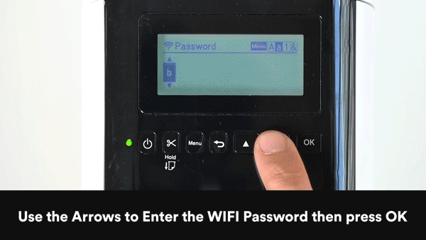 BP8.gif
